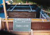 型枠生コン打設